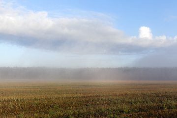 Image showing autumn fog in the field