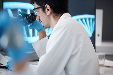 Image showing Science, research and microscope with man in laboratory for dna, pharmacy and medical. Medicine, healthcare and study with scientist and focus in clinic on biotechnology, bacteria and future