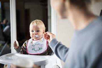 Image showing Mother spoon feeding her baby boy child in baby high chair with fruit puree at dinning table at home. Baby solid food introduction concept.