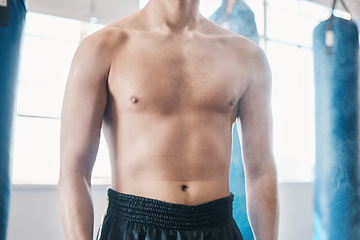 Image showing Sports, boxing and abdomen of man with muscle in gym for training, workout and exercise for mma. Fitness, body builder and stomach of male athlete ready for boxer competition, practice and cardio