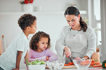 Image showing Cooking, food and cutting with family in kitchen for health, nutrition and support. Diet, vegetables and dinner with mother and children with meal prep at home for wellness, salad and learning