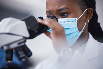 Image showing Medical, analysis and microscope for woman scientist in laboratory for research, experiment and innovation. Healthcare, investigation and lady health expert with lab equipment for future development