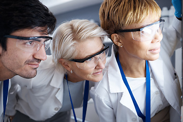 Image showing Scientist, lab testing and glasses of science team and research with safety and data analysis. Vaccine review, teamwork and staff working on healthcare training and biotechnology productivity