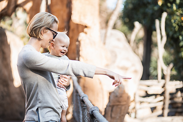 Image showing Caucasian blonde mother holding her infant baby boy child in her lap watching animals in zoo. Happy family having fun with animals safari park on warm summer day