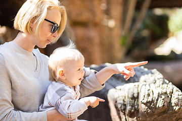 Image showing Caucasian blonde mother holding her infant baby boy child in her lap watching crocodile in zoo. Happy family having fun with animals safari park on warm summer day