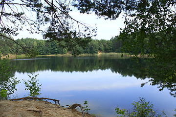 Image showing lake in the forest