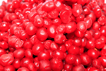 Image showing harvest of red schizandra