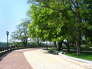 Image showing Beautiful park with green trees