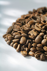 Image showing Roasted coffee beans