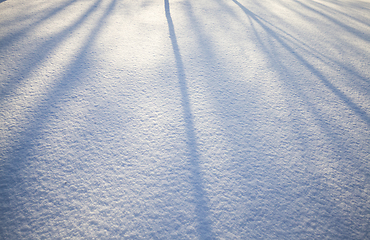 Image showing shadows from trees