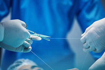 Image showing Surgery, hands and doctor cutting thread, stitching patient and surgical procedure with health insurance. People in medicine, surgeon with scissors and medical tools with collaboration in hospital