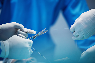 Image showing Surgery, hands and doctor cut thread, stitching patient and surgical procedure with health insurance. People in medicine, surgeon with scissors and medical tools with collaboration in hospital