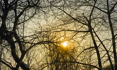 Image showing winter during sunset