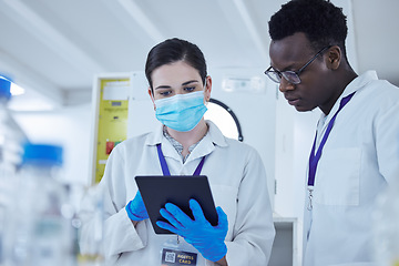 Image showing Science, staff and man with woman, tablet and connection in a laboratory, virus research or medical. Coworkers, researchers or female employee with male scientist, digital planning and data analytics