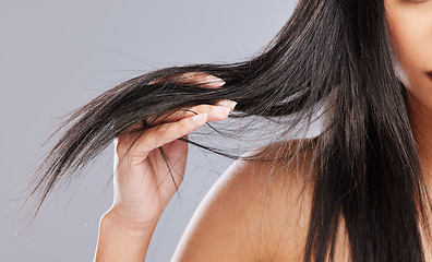 Image showing Hair in hands, damage and woman in studio with worry for split ends, haircare crisis and weak strand. Beauty, hairdresser and closeup of upset female person with frizz problem on gray background