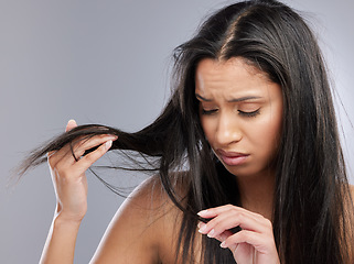 Image showing Hair care, crisis and face of woman in studio with worry for split ends, haircare and weak strand. Beauty, hairdresser and upset female person with frizz, dry and loss problem on gray background