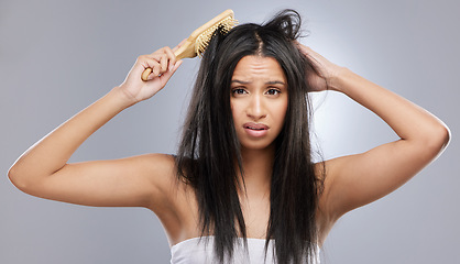 Image showing Hair care, brush and portrait of woman with mess in studio for split ends, haircare crisis and weak tips. Beauty, hairdresser and face of worried female person with knot problem on gray background