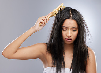 Image showing Hair, knot and woman with brush in studio with worry for split ends, haircare crisis and messy style. Beauty, hairdresser and female person with frizz, texture and tangle problem on gray background