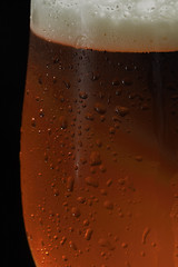 Image showing Dark Beer
