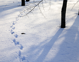 Image showing snow drifts