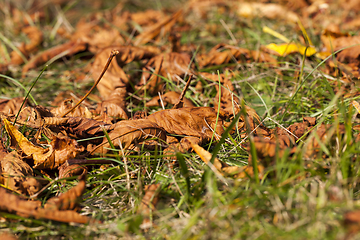 Image showing warm weather in the Park