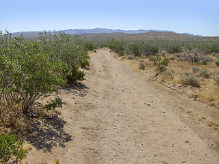 Image showing Death Valley National Park