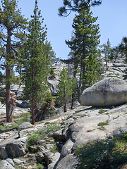 Image showing Sequoia National Park