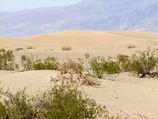 Image showing Death Valley National Park