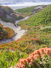 Image showing idyllic coastal scenery in California