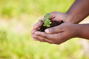 Image showing Earth, agriculture and hands of farmer with plant for planting vegetables, harvest and ecosystem. Farming, sustainability and person with dirt, earth and sapling for environment, growth and nature