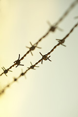 Image showing Barbwire