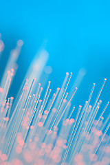 Image showing Optical Fibers