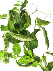 Image showing Sugar peas