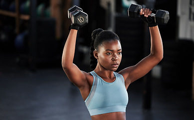 Image showing Fitness, dumbbells or strong girl training, exercise or workout for powerful arms or muscles development. Wellness, health or black woman lifting weights or exercising shoulders in gym club studio