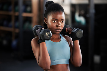 Image showing Fitness, dumbbells or strong black woman training, exercise or workout for powerful arms or muscles. Wellness, health or African girl lifting weights or exercising shoulders with energy in gym studio