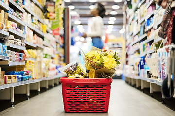 Image showing Shopping basket, flowers and floor in grocery store on promotion, sale or gift with woman for customer experience. Plastic container, supermarket and mall for retail, plants and trading for choice