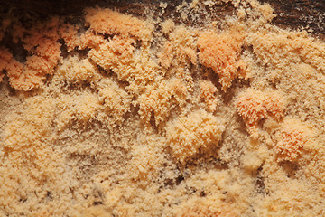 Image showing Mold