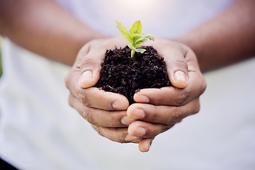 Image showing Plant, growth and soil in hands for earth, environment or closeup on gardening care or working in agriculture, farming or nature. Farmer, hand and worker growing green, leaf and life in spring