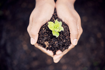 Image showing Growth, hands and plant in soil for earth, environment or closeup on gardening care or working in agriculture, farming or nature. Farmer, hand and worker growing green, leaf and life in spring