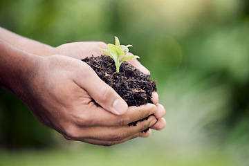 Image showing Hands, plant and growth in soil for earth, environment or closeup on gardening care or working in agriculture, farming or nature. Farmer, hand and worker growing green, leaf and life in spring