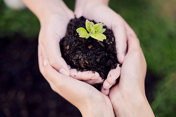 Image showing Hands, growth and plant in soil for earth, environment or closeup on gardening care or working in agriculture, farming or nature. Farmer, hand and worker growing green, leaf and life in spring