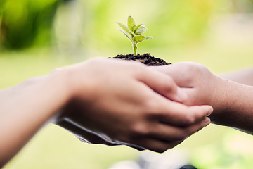 Image showing Hands, growth and plant in soil for earth, environment or closeup on gardening care or working in agriculture, farming or nature. Farmer, hand and worker growing green, leaf and life in spring