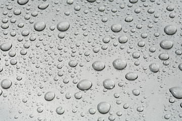 Image showing Droplets