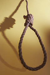 Image showing Noose