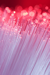 Image showing Optical Fibers