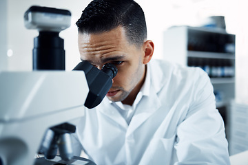 Image showing Research, microscope and man scientist in a laboratory for experiment, analysis and innovation. Science, development and male health expert checking results, cancer or bacteria or sample in a lab