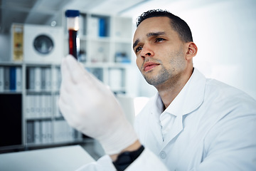 Image showing Man, scientist and analysis of blood in test tube, DNA and science experiment in laboratory. Male doctor with gloves, study sample and forensics, scientific innovation and medical research in lab