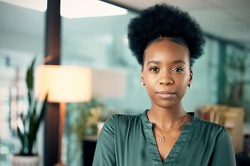 Image showing Portrait, business and black woman with a career, serious and professional in a workplace, success or startup. Face, female person or employee with skills, consultant or agent in an office and growth