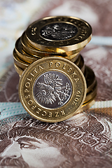 Image showing cash and Polish zlotys
