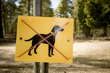 Image showing Dogs not allowed